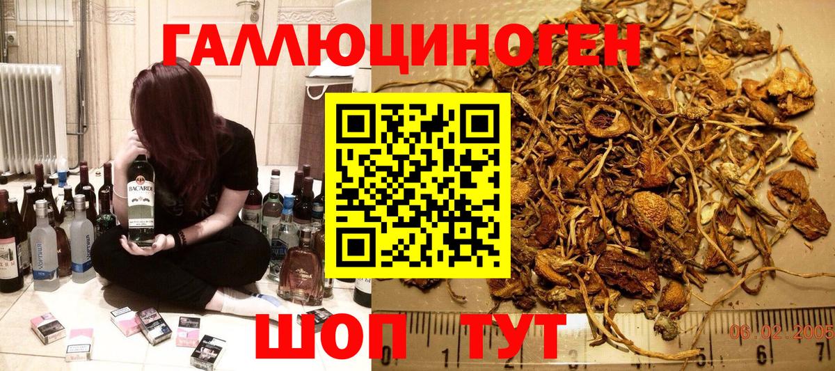 Галлюциногенные грибы Cubensis Ейск