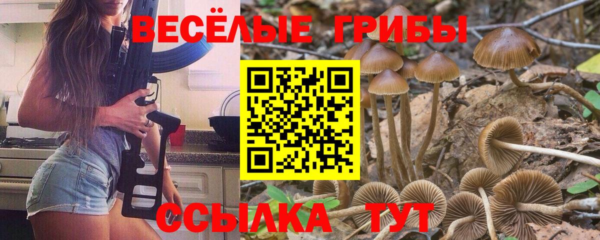 Ейск  Псилоцибиновые грибы мухоморы  Вход с VPN  Галлюциногенные грибы ЛСД 